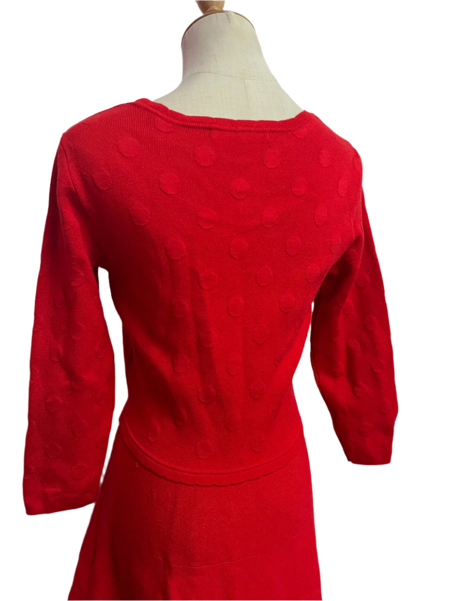 REVIEW RED WINTER KNIT DRESS SZ 8