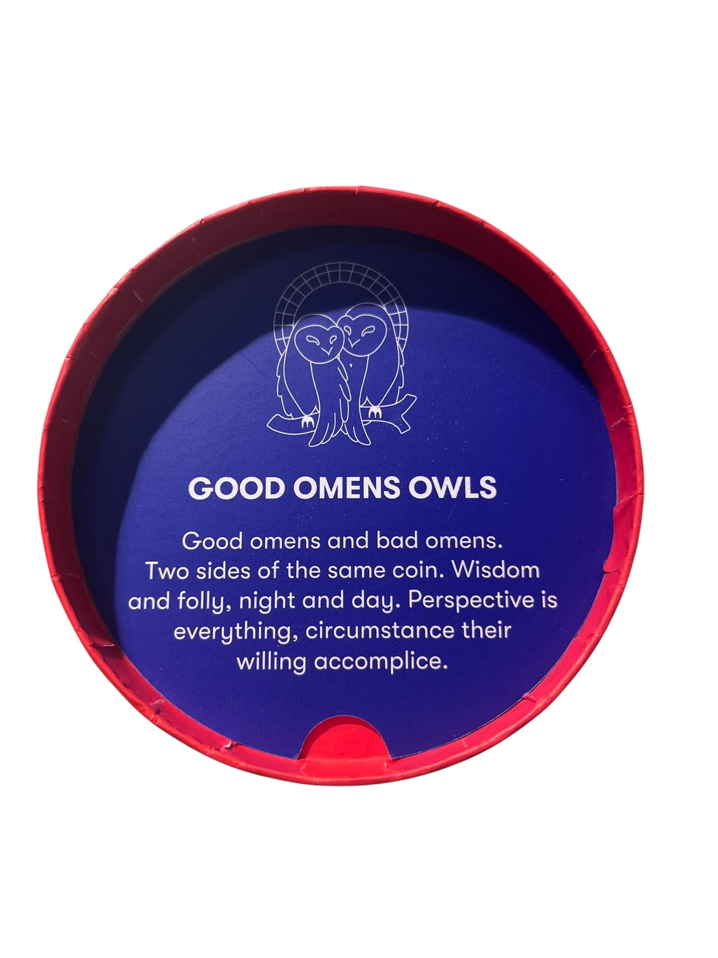 ERSTWILDER GOOD OMENS OWLS BROOCH