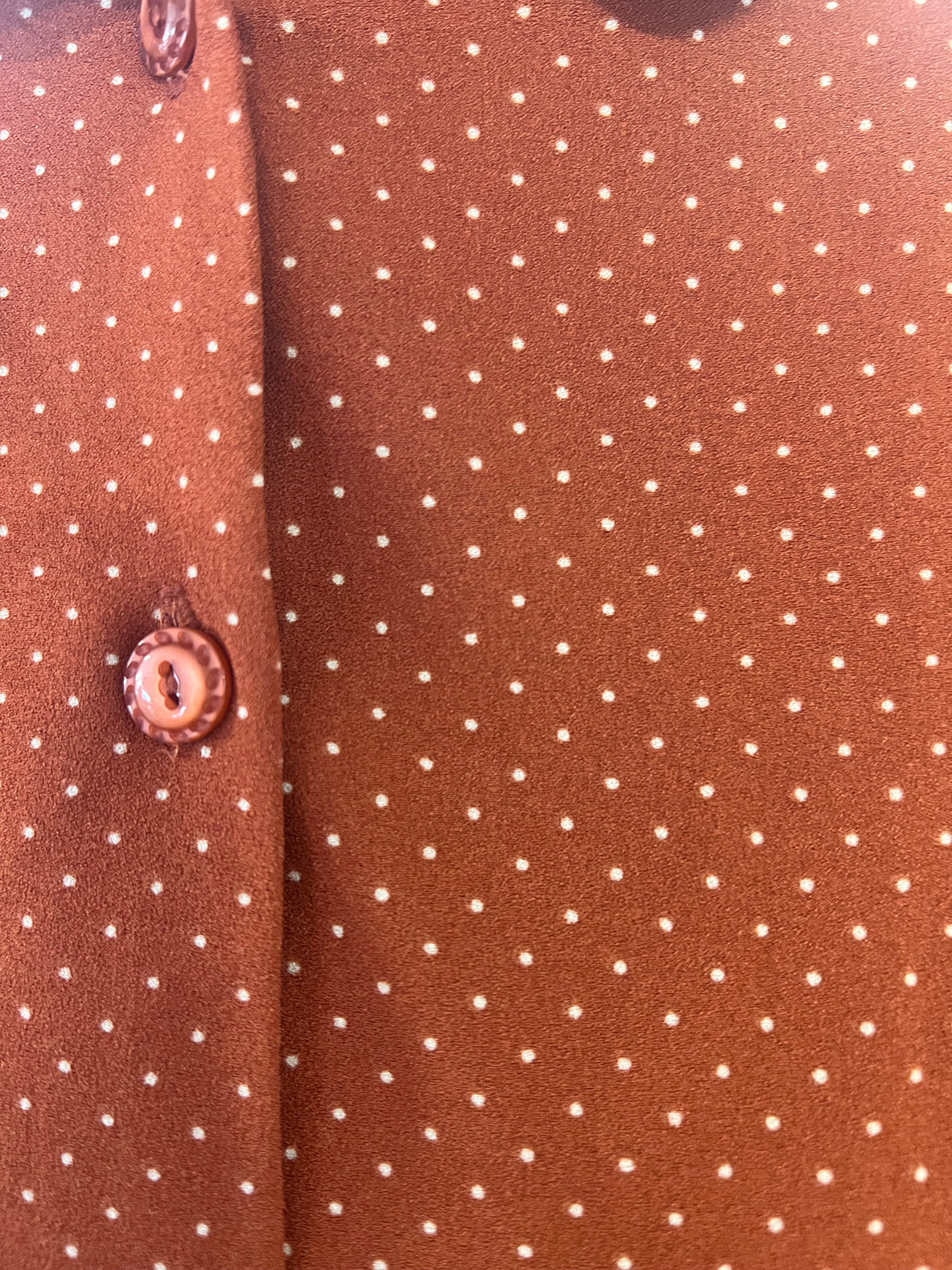 PRINCESS HIGHWAY RUST POLKADOT SHIRT | 10