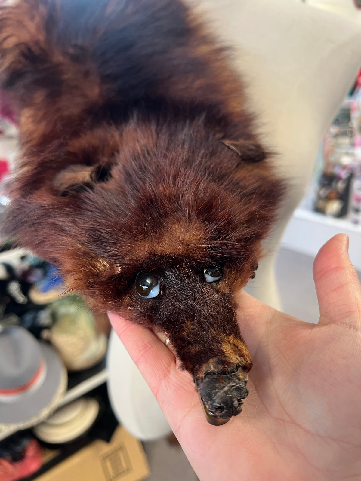 FOX HEAD STOLE (needs attention)