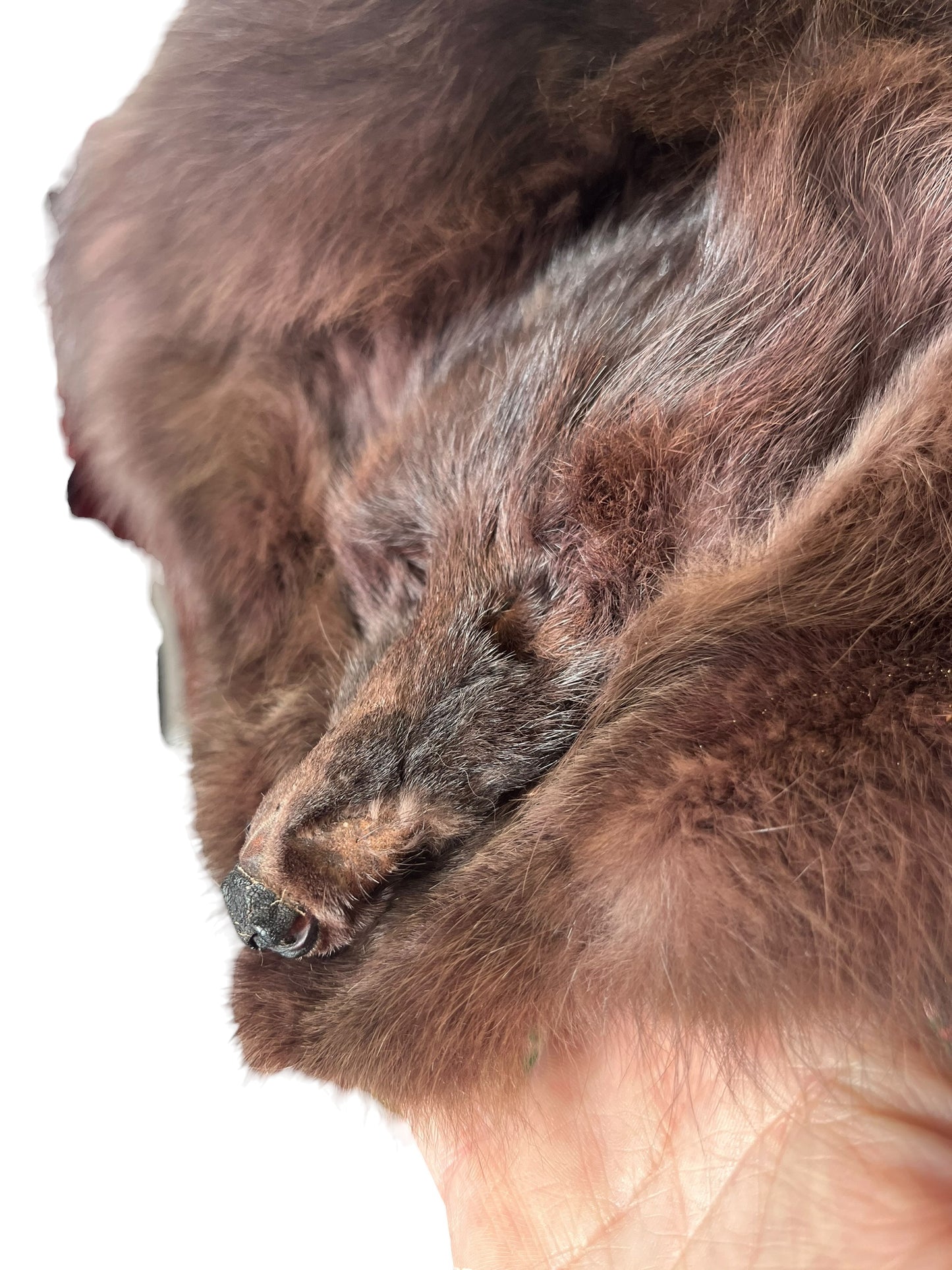 FOX FUR STOLE