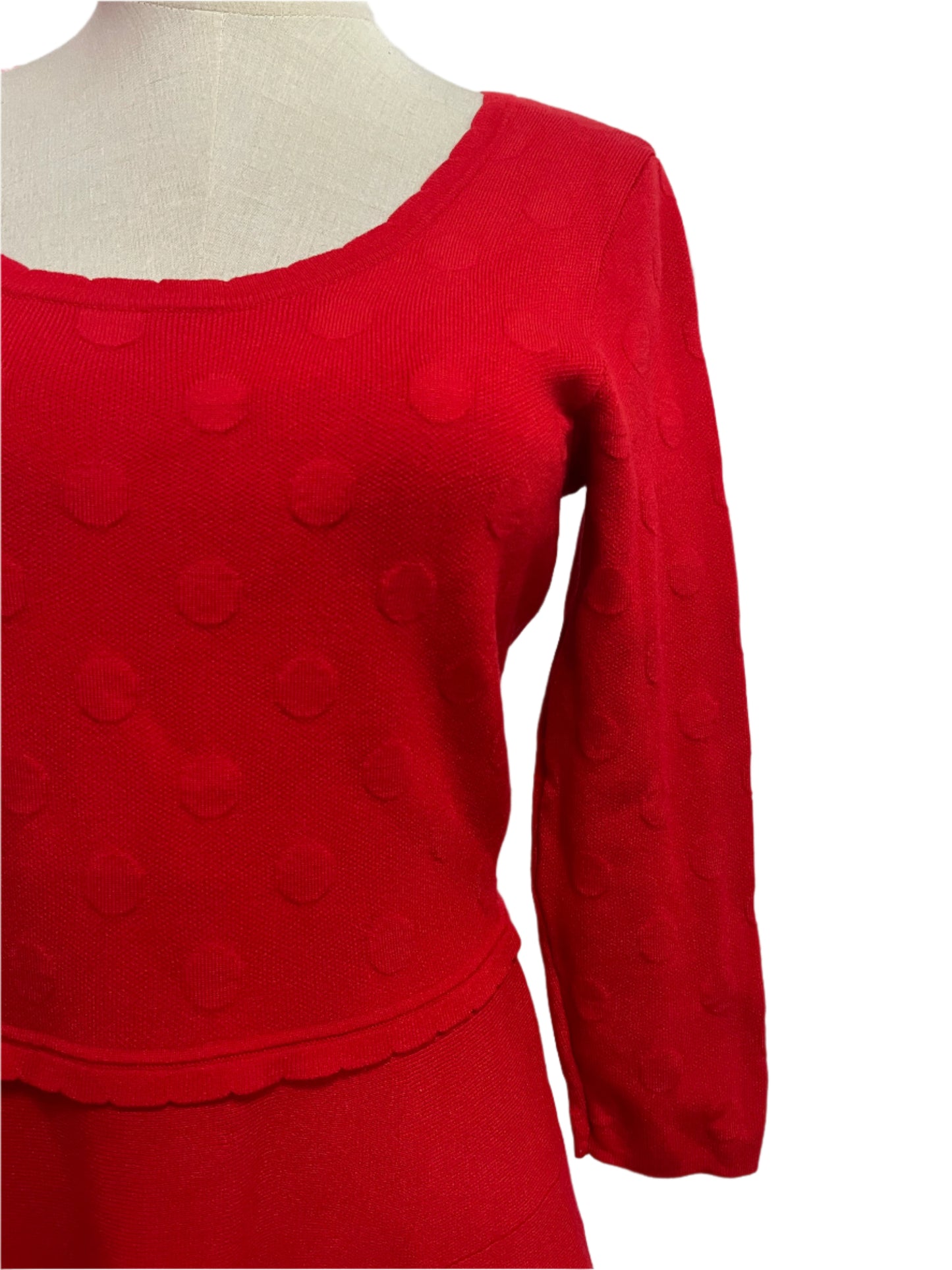 REVIEW RED WINTER KNIT DRESS SZ 8