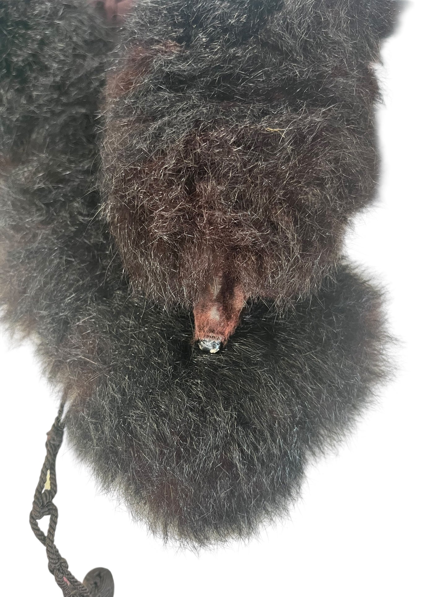 POSSUM FUR NECKPIECE
