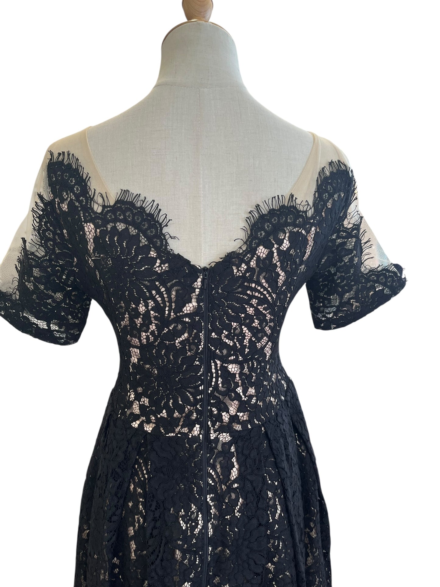 KITTEN DAMOUR LACE DRESS | 8
