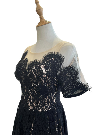 KITTEN DAMOUR LACE DRESS | 8