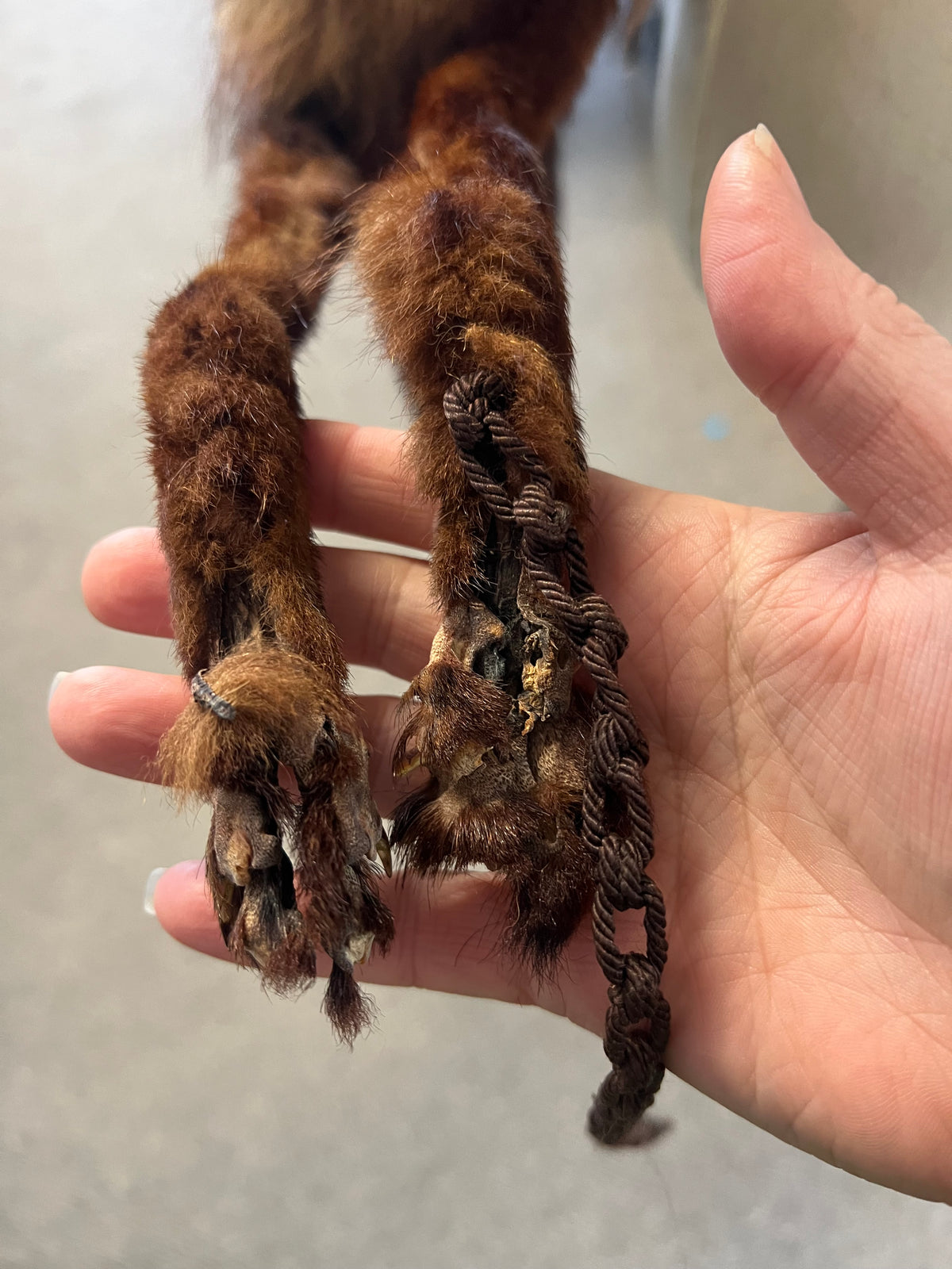 FOX HEAD STOLE (needs attention)