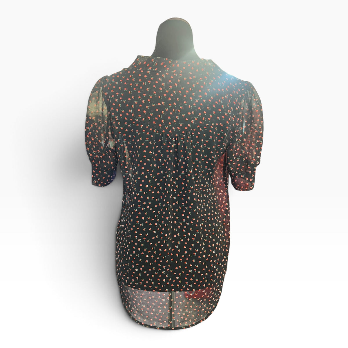 BETTIE MUNRO PEACH CHIFFON TOP | XS