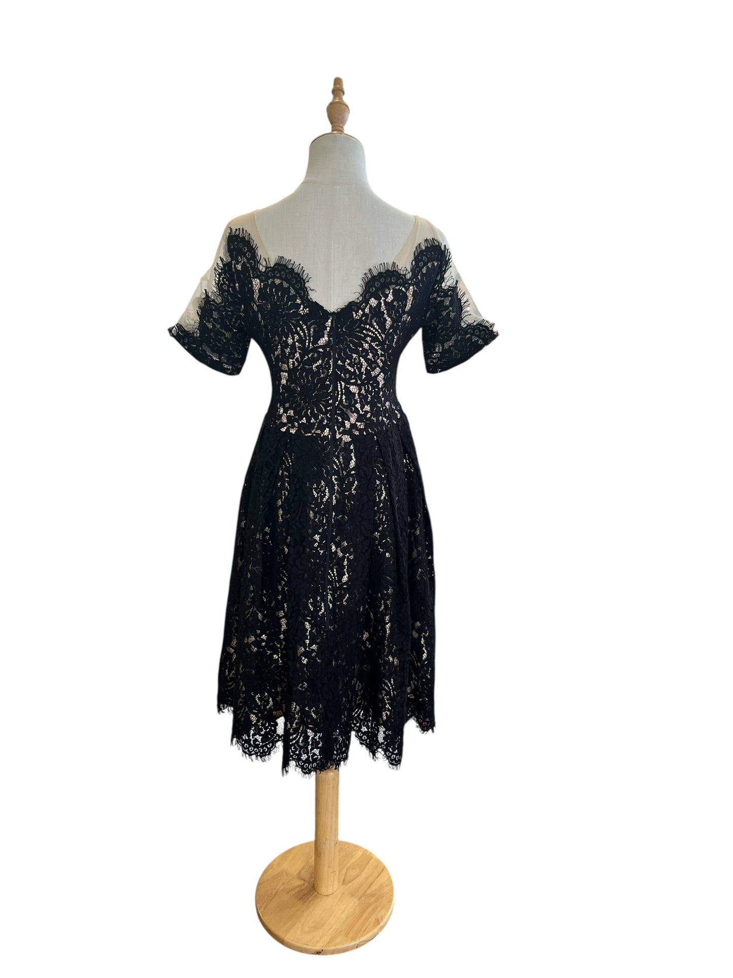 KITTEN DAMOUR LACE DRESS | 8