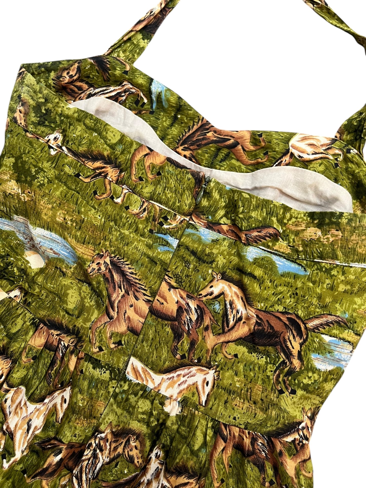 BIRDS OF AMERICA HORSE DRESS | 4