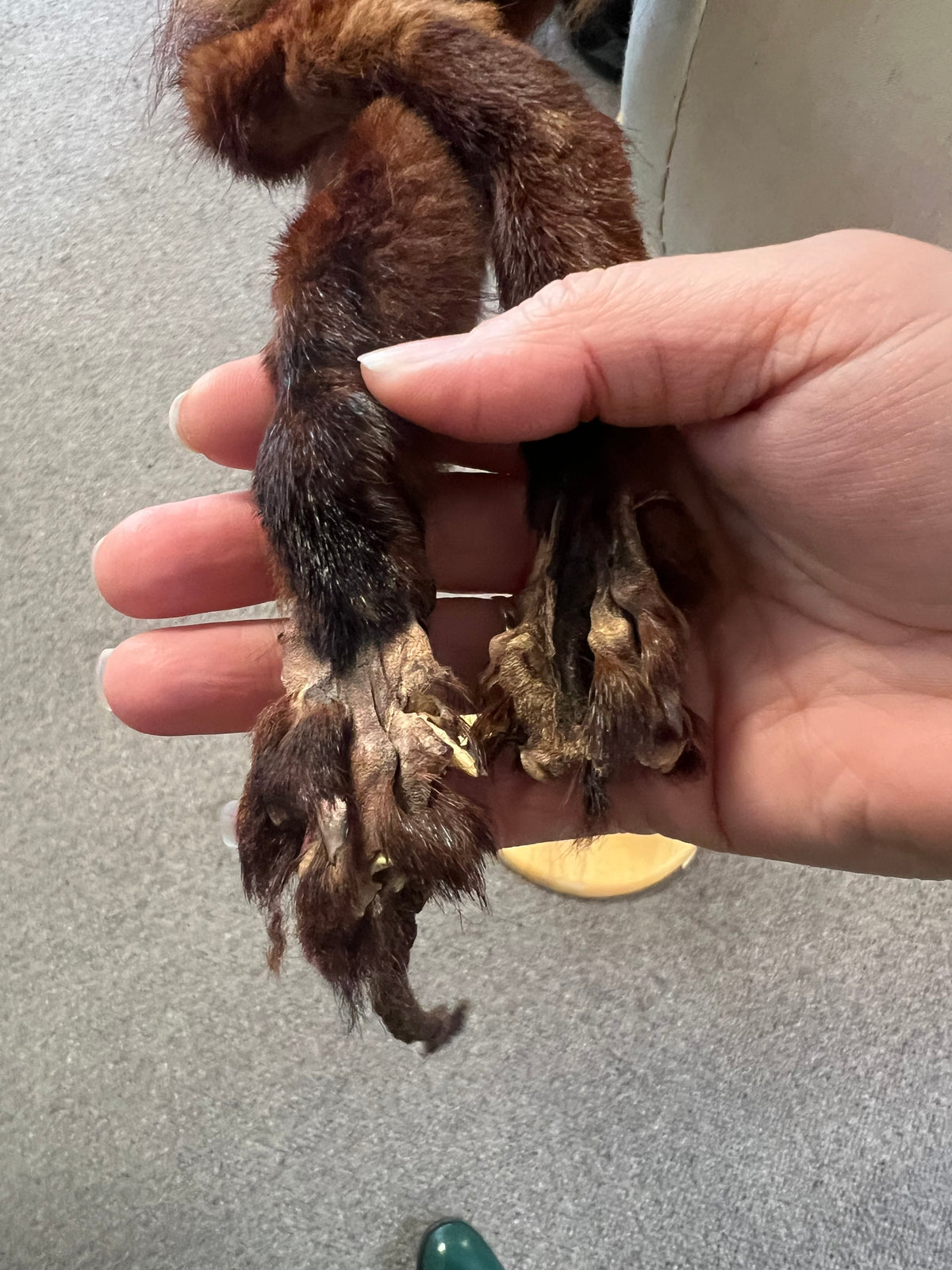 FOX HEAD STOLE (needs attention)