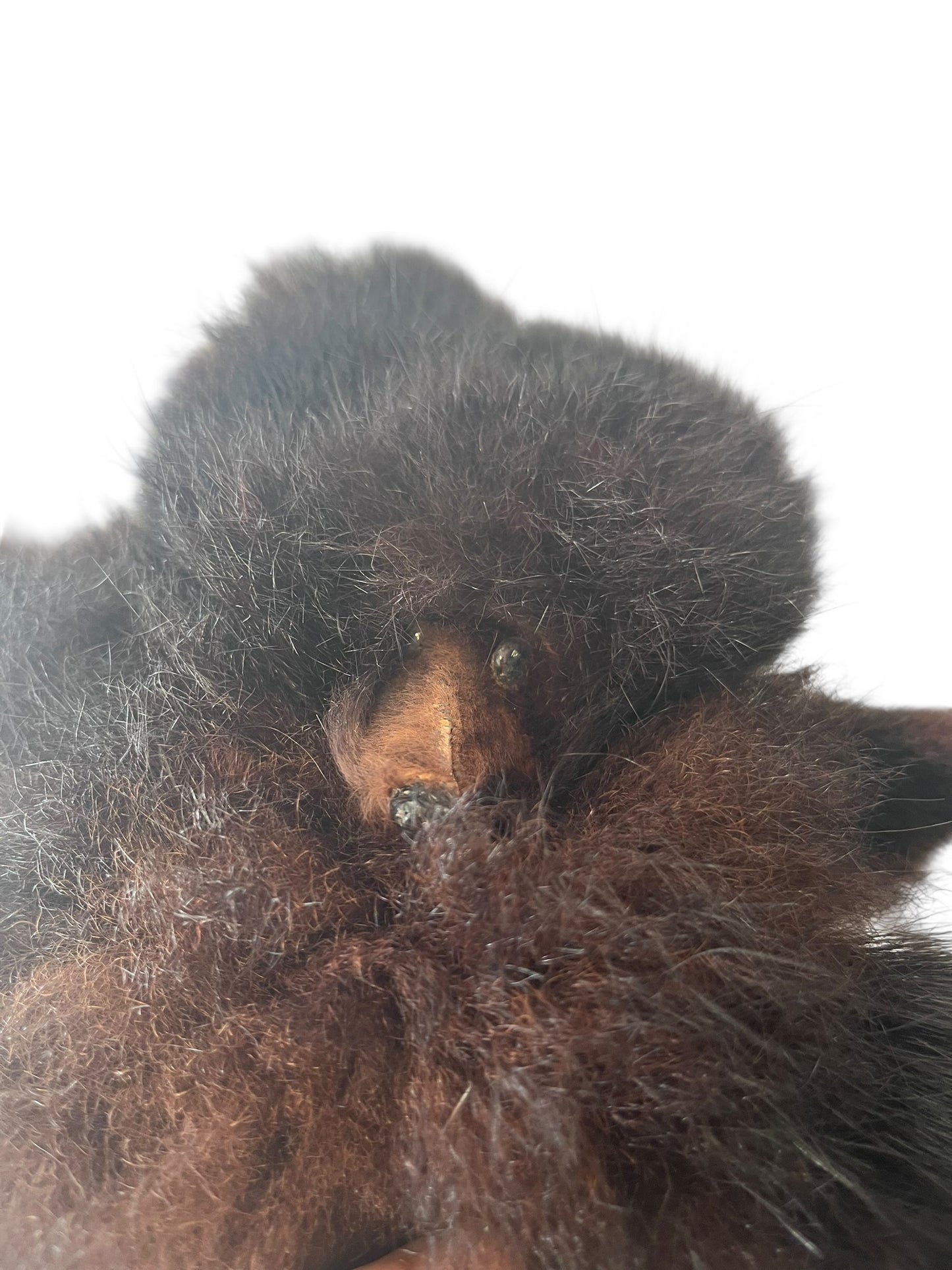 POSSUM FUR NECKPIECE