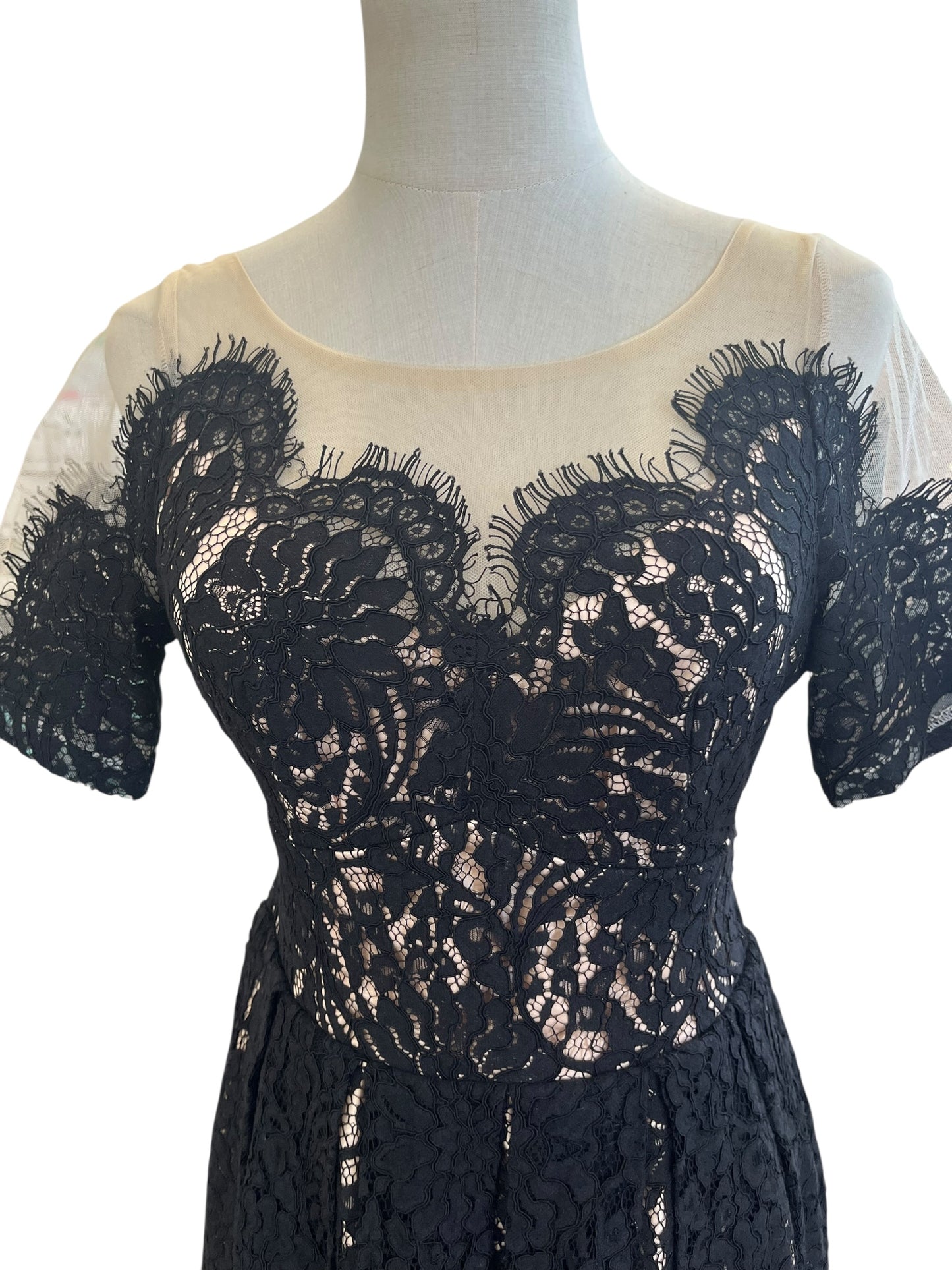 KITTEN DAMOUR LACE DRESS | 8