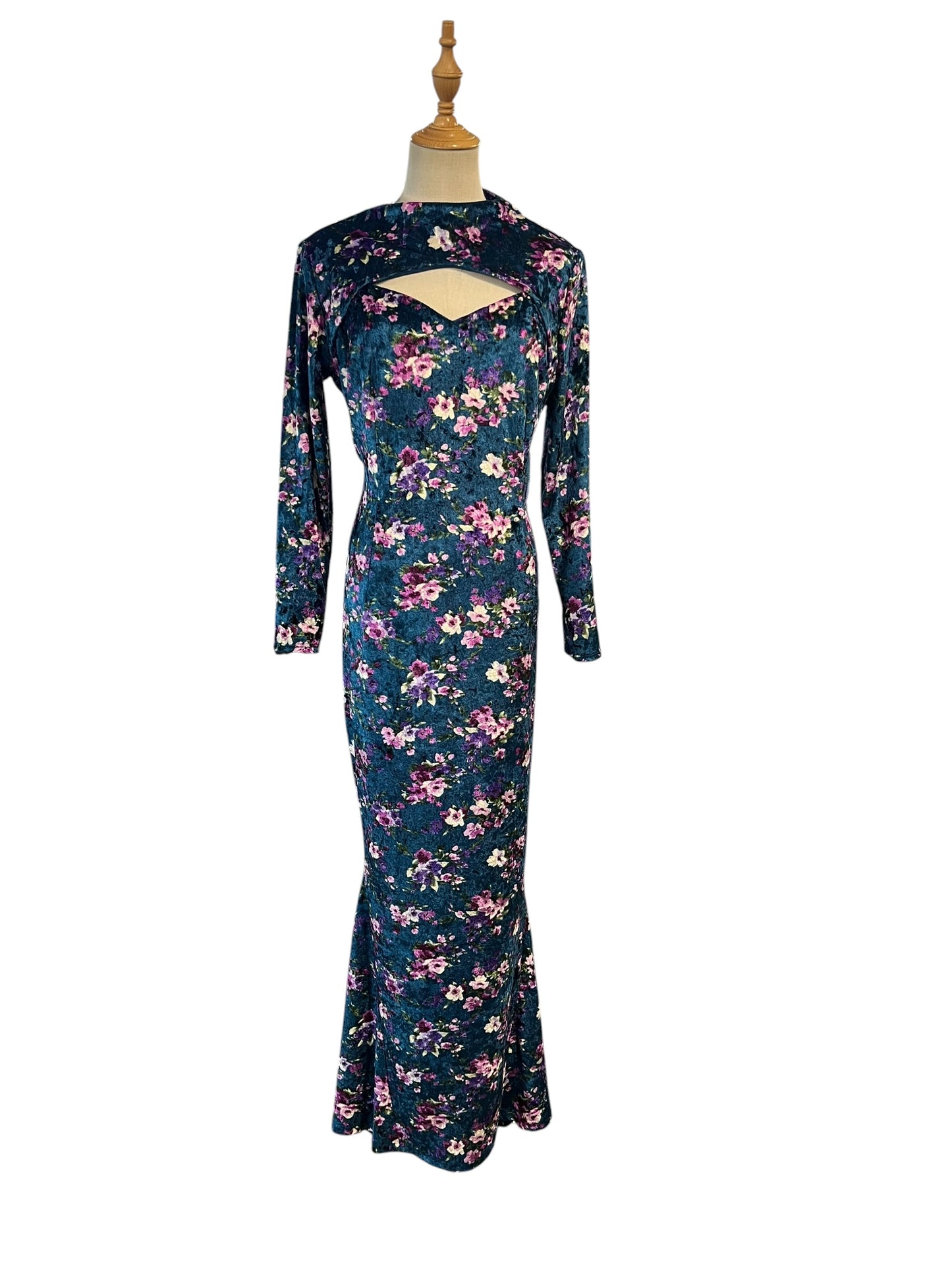 TRACI LORDS MAXI VELVET DRESS | 14