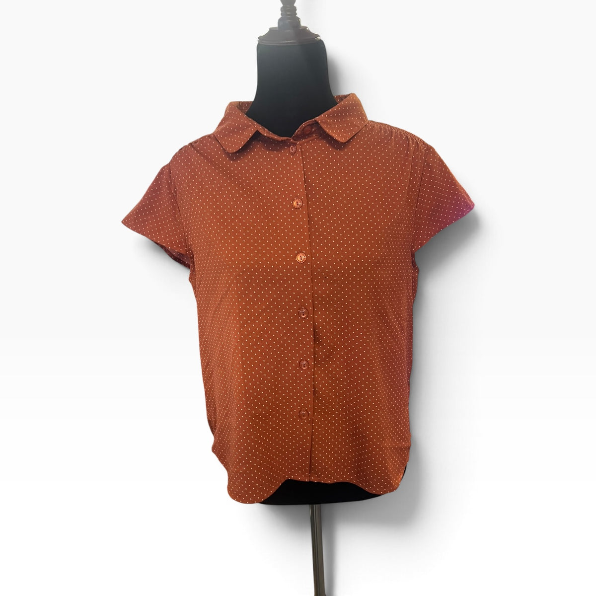 PRINCESS HIGHWAY RUST POLKADOT SHIRT | 10