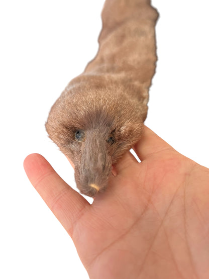 SMOKEY GREY FERRET NECK PIECE