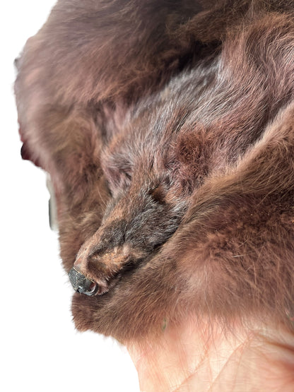 FOX FUR STOLE