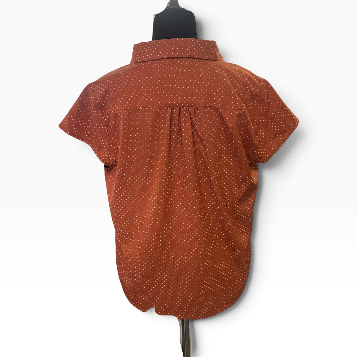 PRINCESS HIGHWAY RUST POLKADOT SHIRT | 10