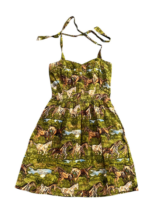 BIRDS OF AMERICA HORSE DRESS | 4