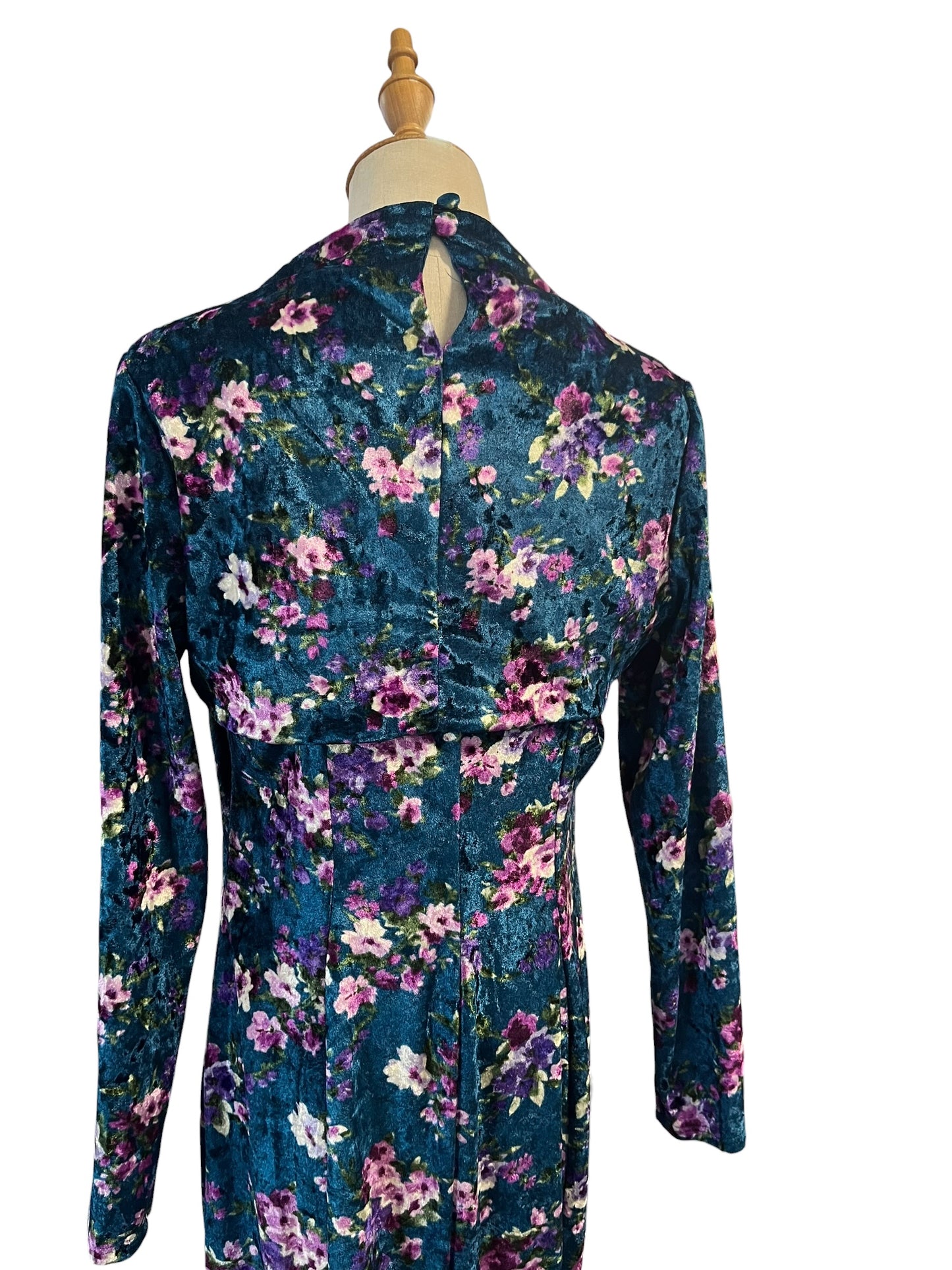 TRACI LORDS MAXI VELVET DRESS | 14