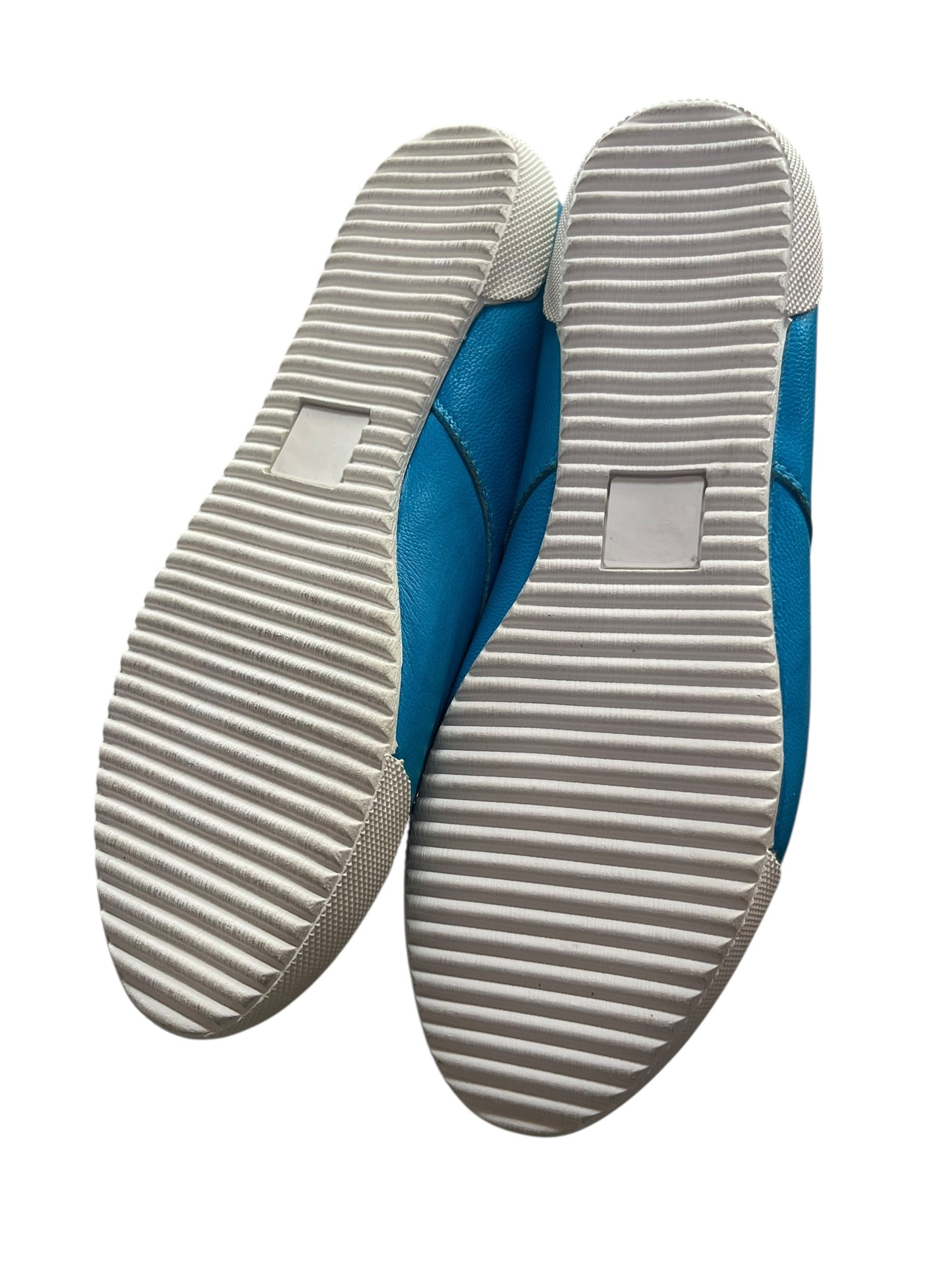 BLITZ BLUE FLATS | 7