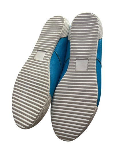 BLITZ BLUE FLATS | 7