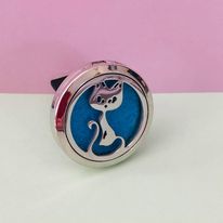 CAT CAR DIFFUSER